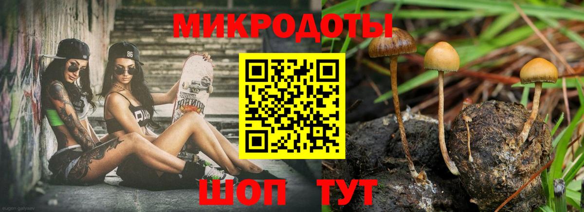 Галлюциногенные грибы мухоморы Миасс